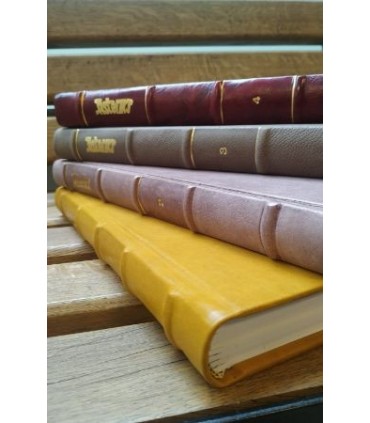 Asteriks 4 Cilt Takım