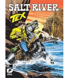 Tex 12 Salt River – Rehin Alınmış Bir Kadın
